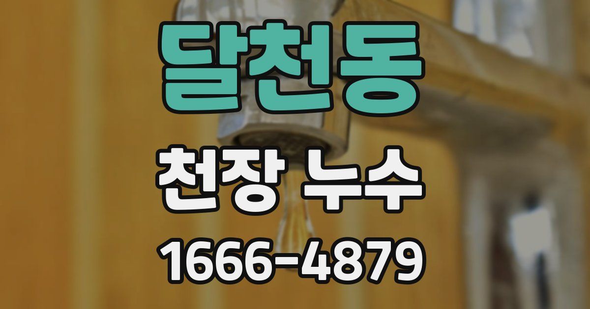 달천동 천장 누수