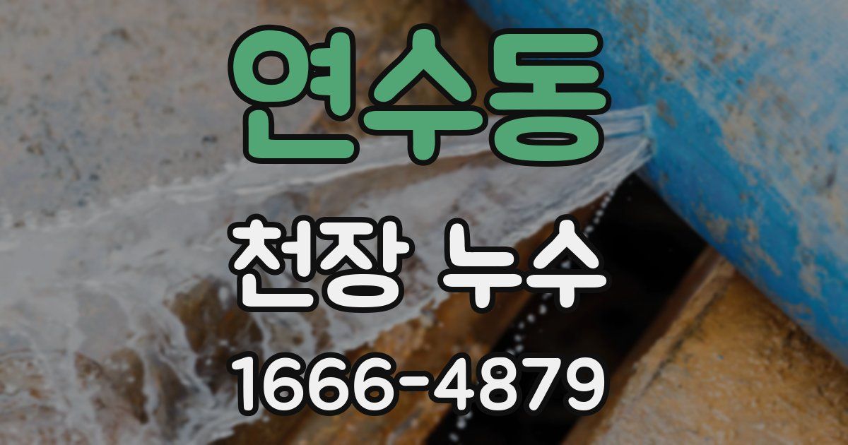 연수동 천장 누수