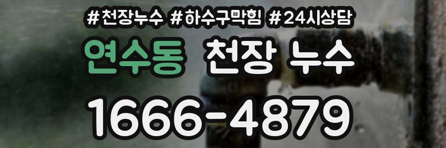 연수동 천장 누수