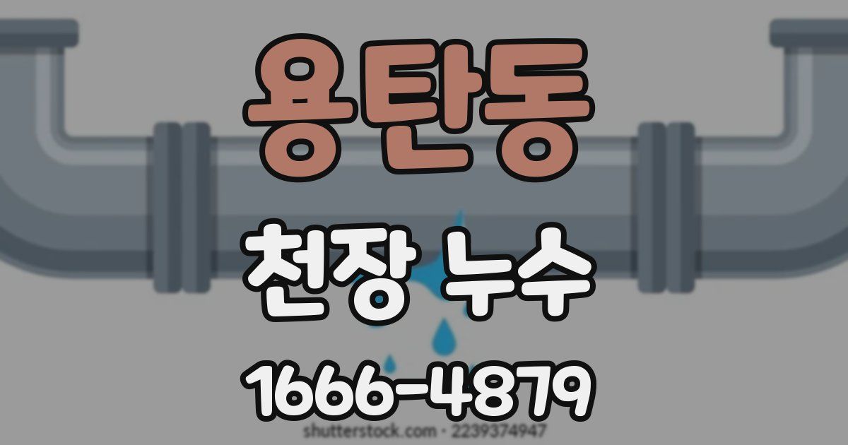 용탄동 천장 누수