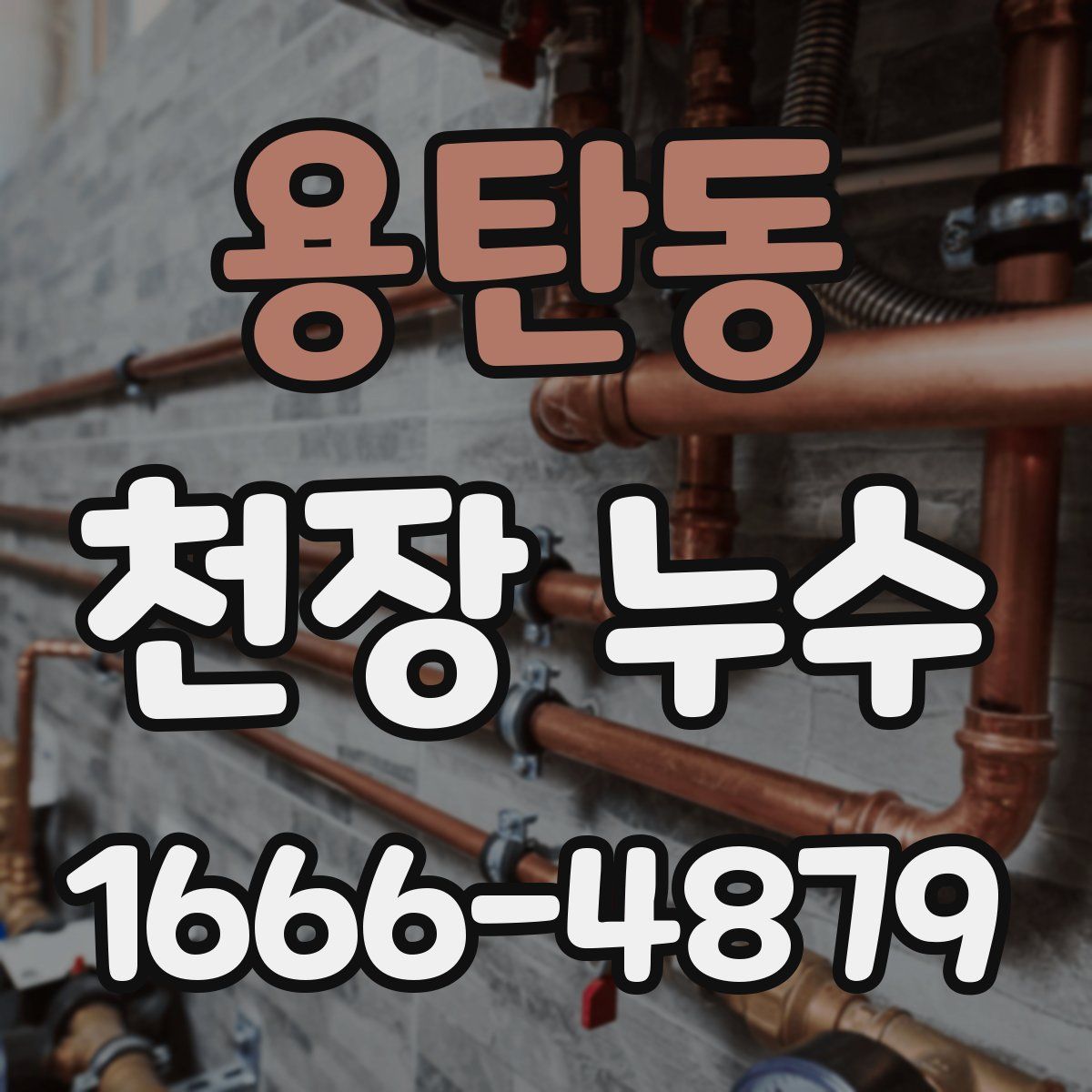 용탄동 천장 누수