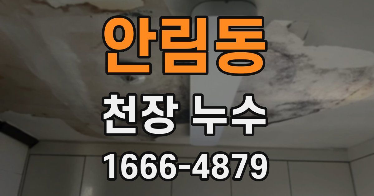 안림동 천장 누수