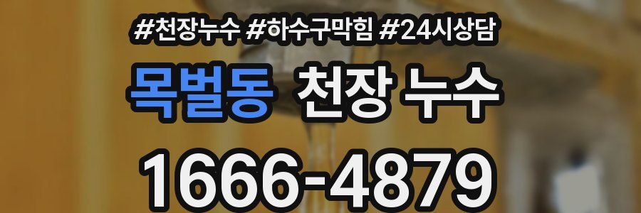 목벌동 천장 누수