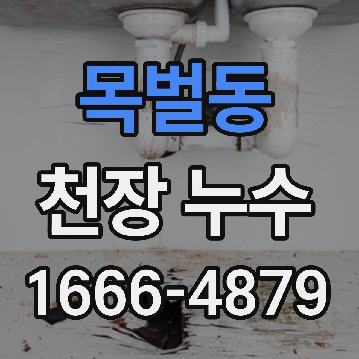 목벌동 천장 누수