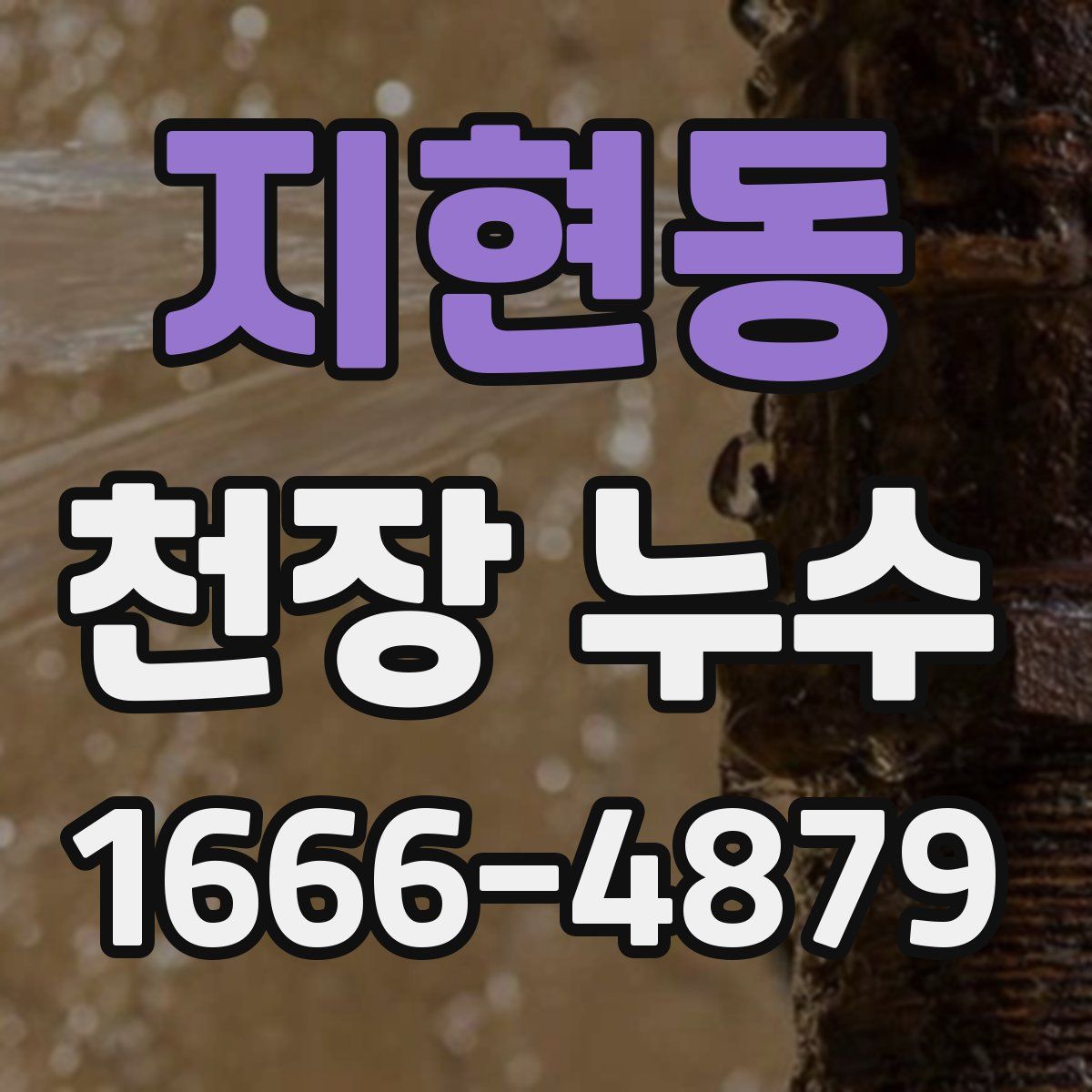 지현동 천장 누수