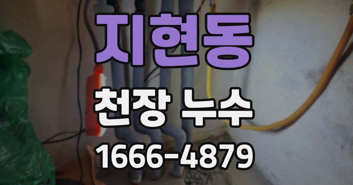 지현동 천장 누수