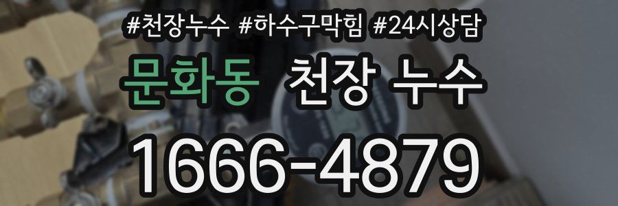 문화동 천장 누수