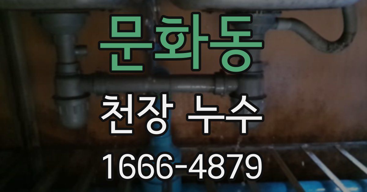 문화동 천장 누수