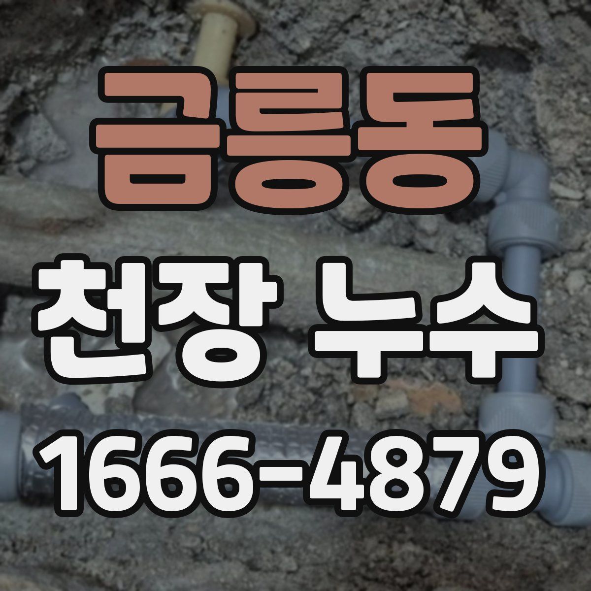 금릉동 천장 누수