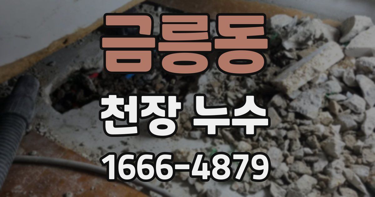 금릉동 천장 누수