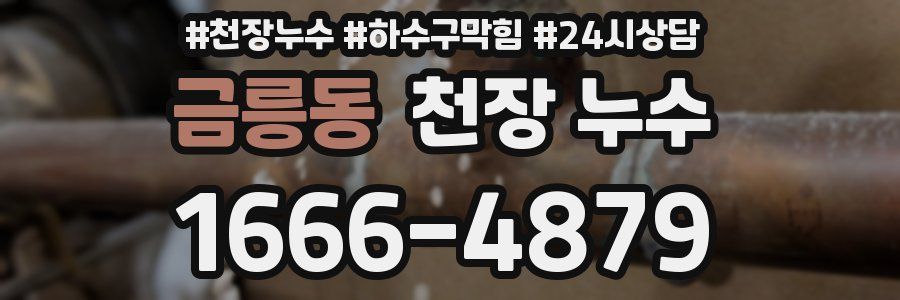 금릉동 천장 누수