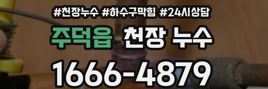 주덕읍 천장 누수