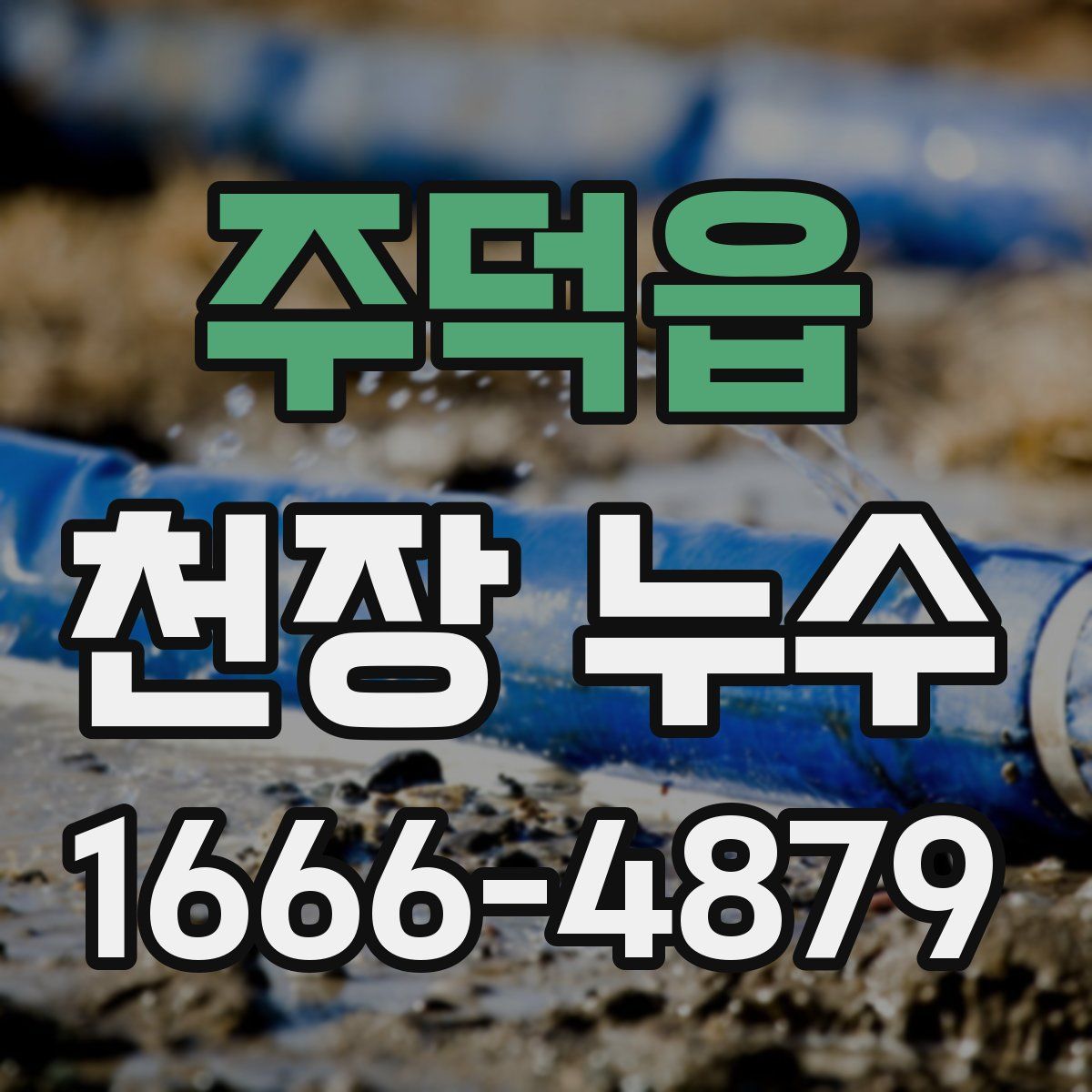 주덕읍 천장 누수