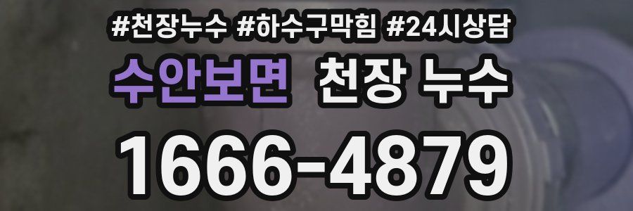 수안보면 천장 누수