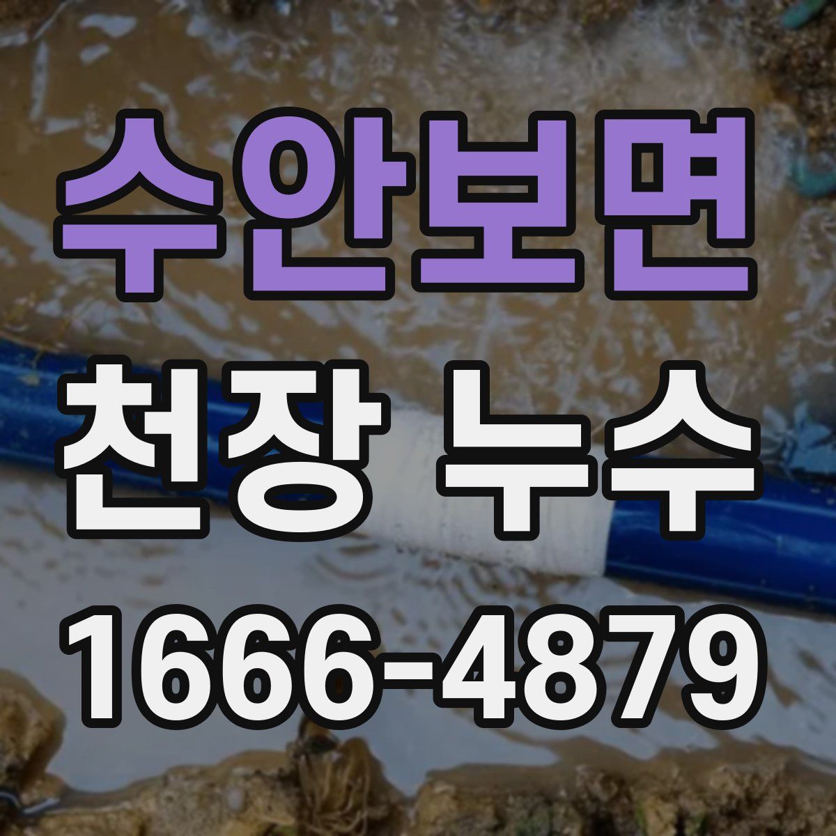 수안보면 천장 누수