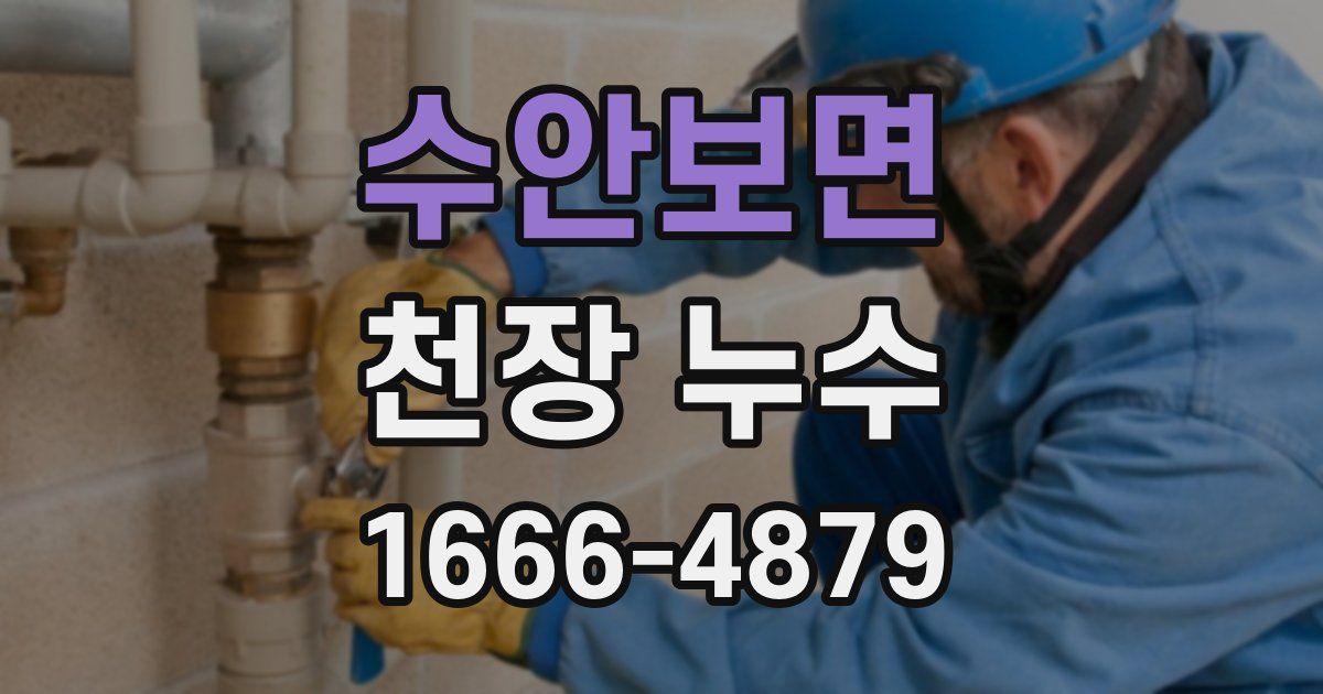 수안보면 천장 누수