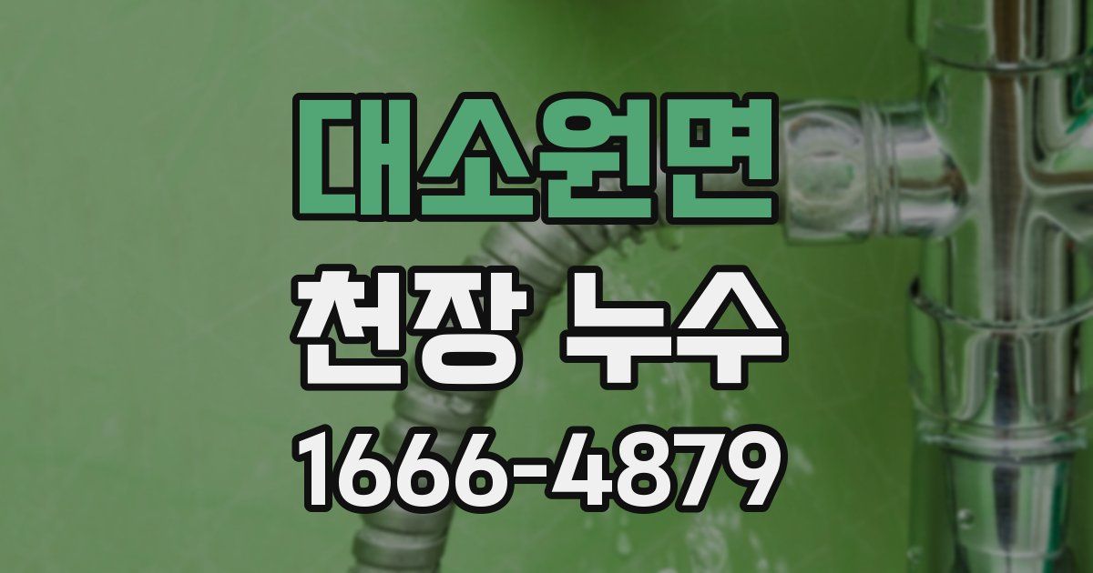 대소원면 천장 누수