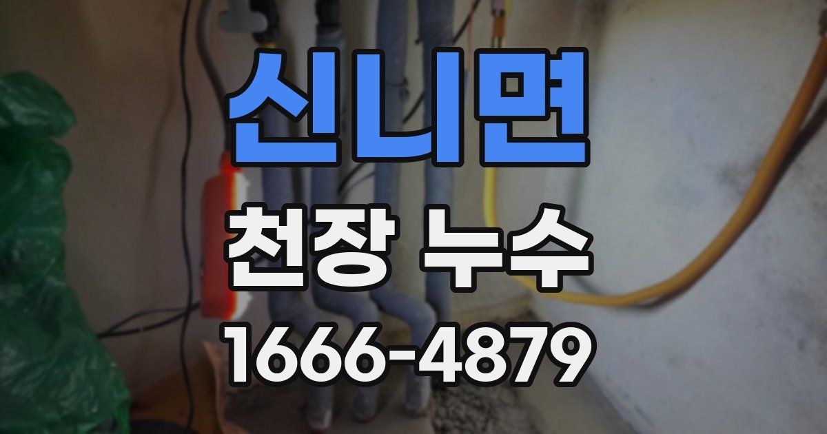 신니면 천장 누수