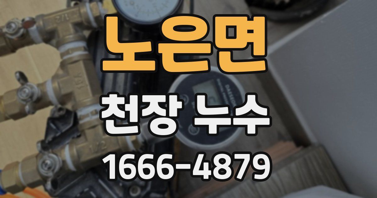 노은면 천장 누수