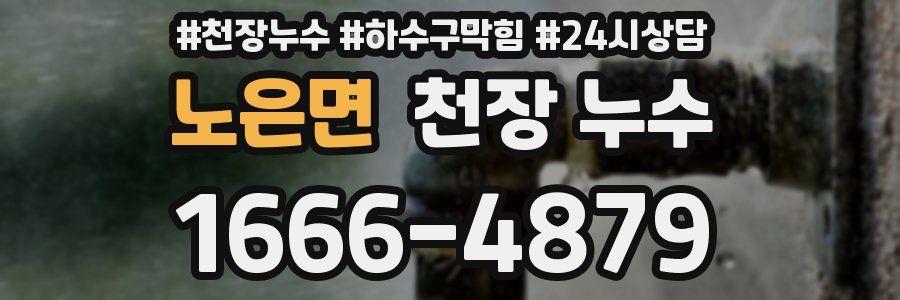 노은면 천장 누수
