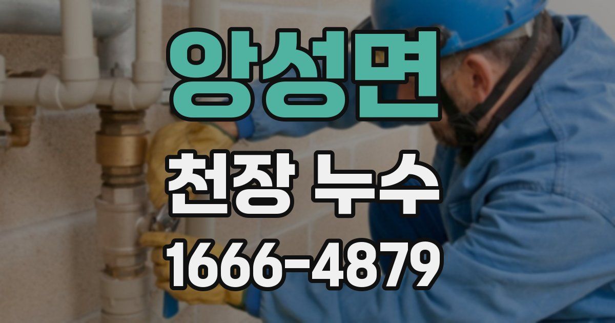 앙성면 천장 누수