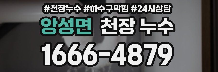 앙성면 천장 누수