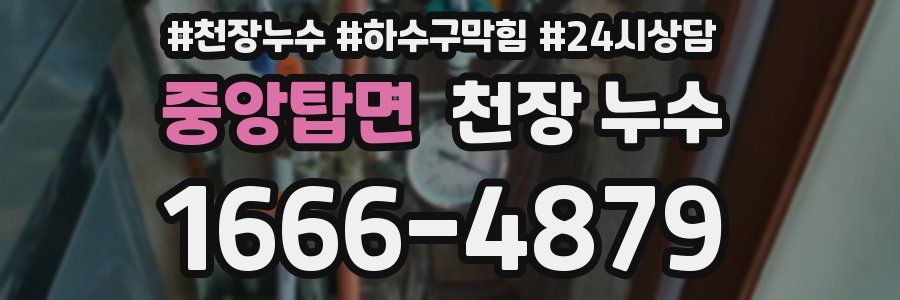 중앙탑면 천장 누수