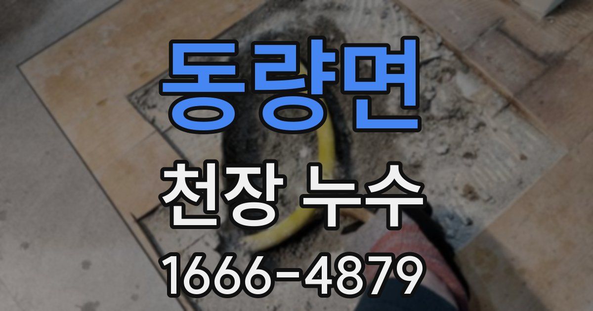 동량면 천장 누수