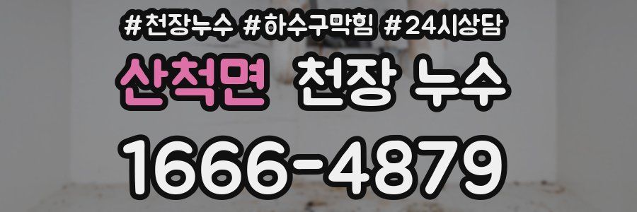 산척면 천장 누수