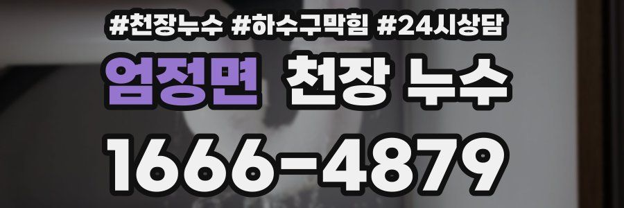 엄정면 천장 누수