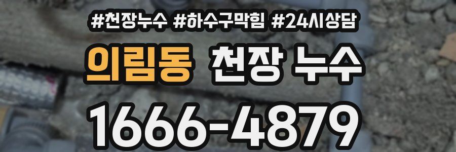 의림동 천장 누수