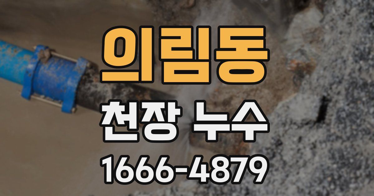 의림동 천장 누수