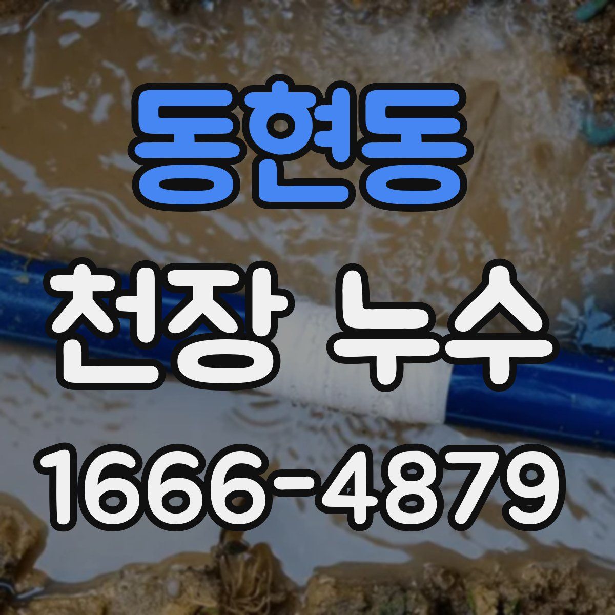 동현동 천장 누수