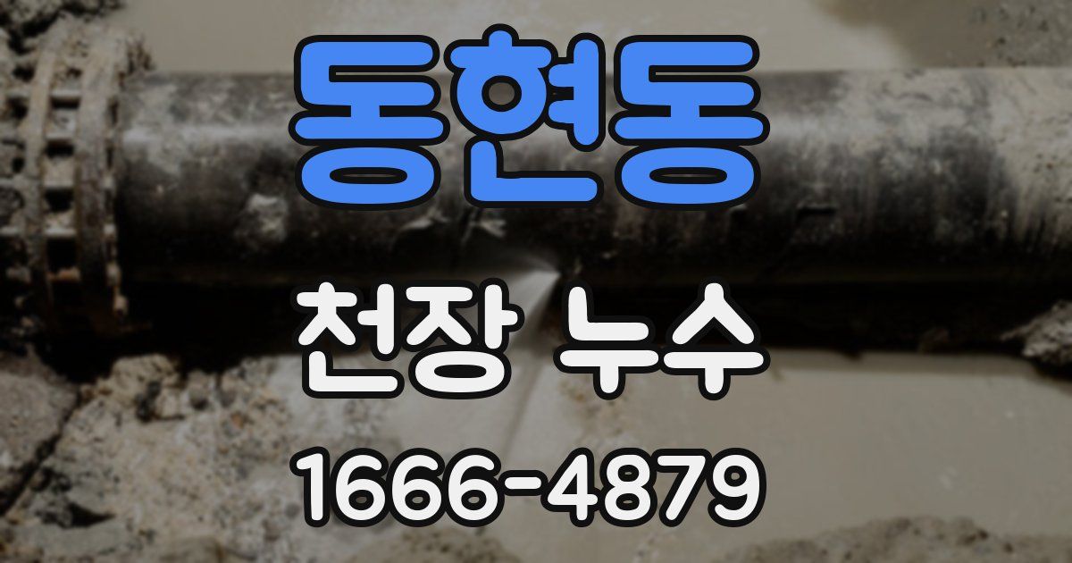 동현동 천장 누수