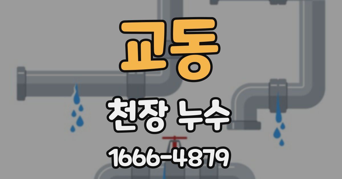 교동 천장 누수