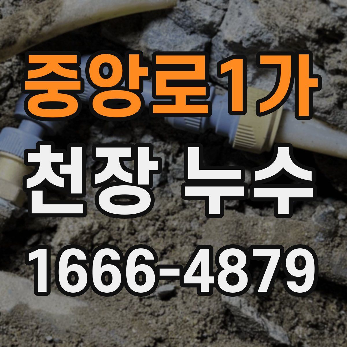 중앙로1가 천장 누수