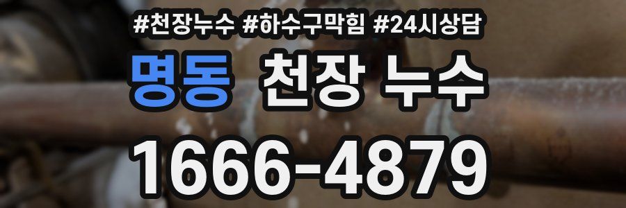 명동 천장 누수