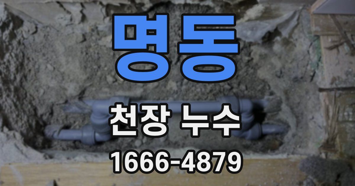 명동 천장 누수