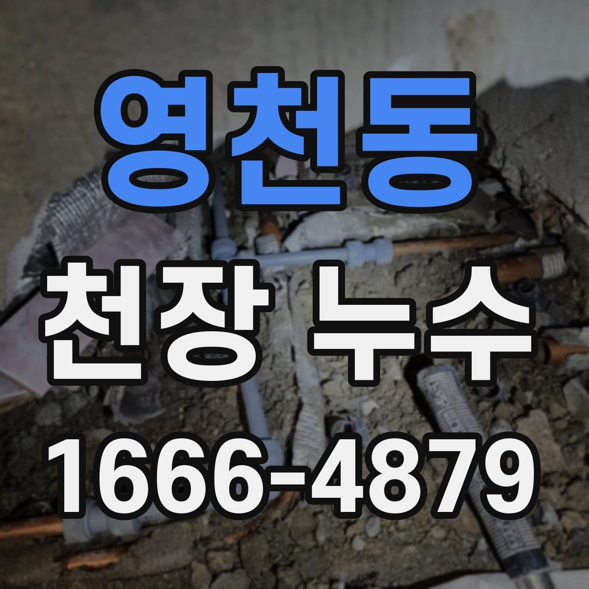 영천동 천장 누수