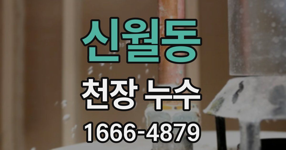 신월동 천장 누수