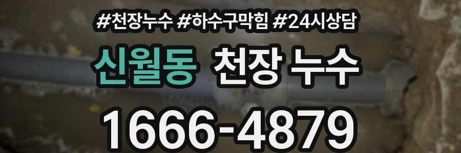 신월동 천장 누수