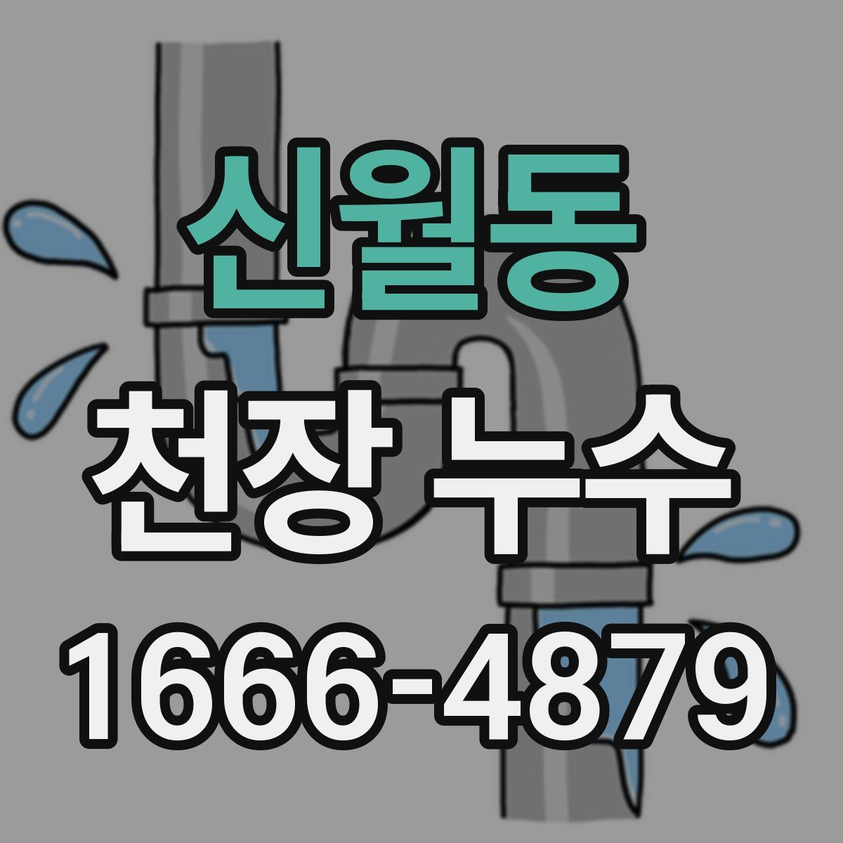 신월동 천장 누수