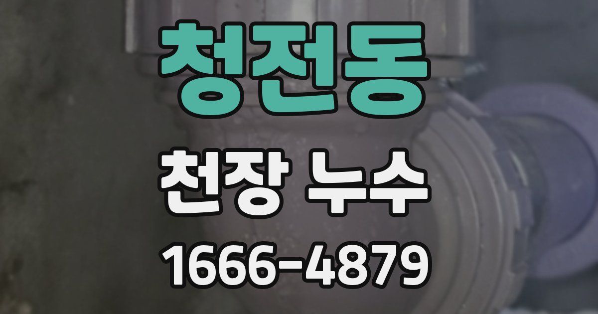 청전동 천장 누수