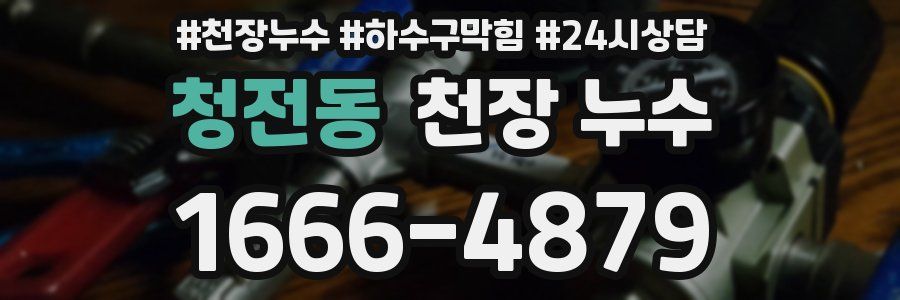 청전동 천장 누수