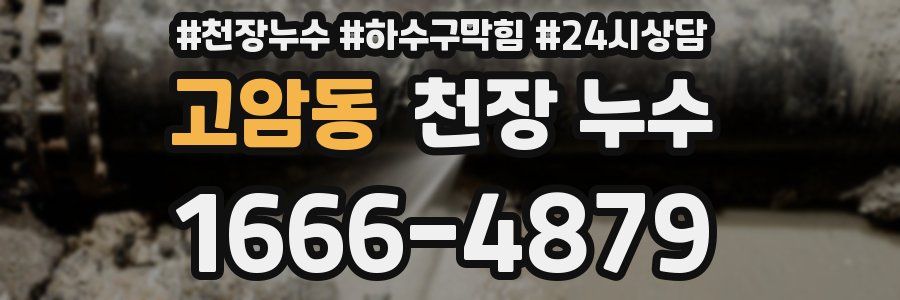 고암동 천장 누수