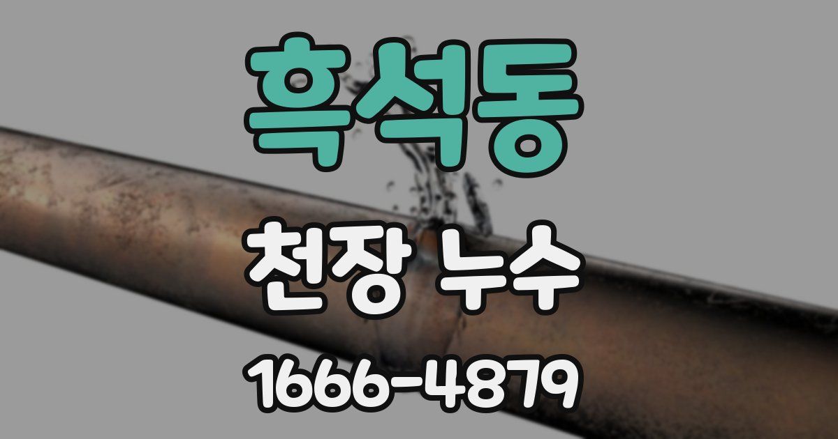 흑석동 천장 누수