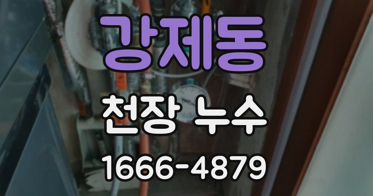 강제동 천장 누수