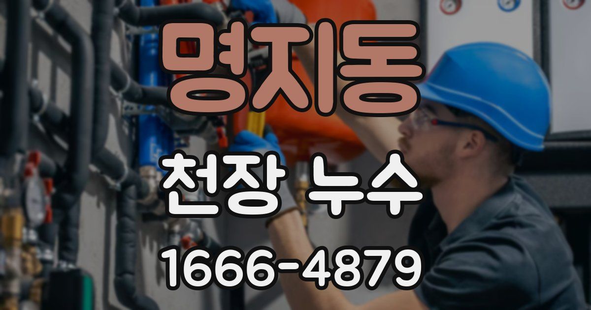 명지동 천장 누수