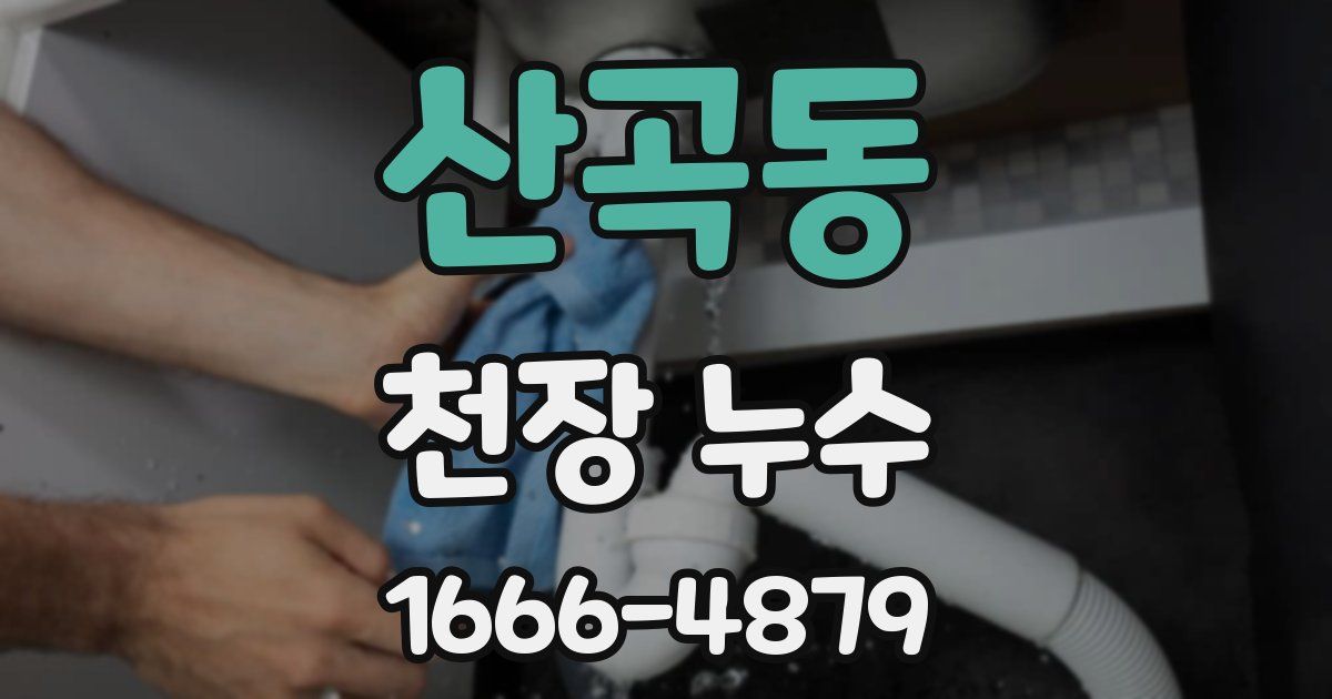 산곡동 천장 누수