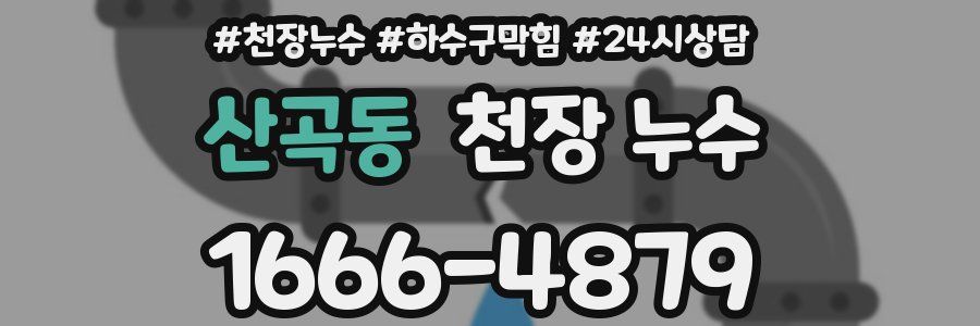 산곡동 천장 누수